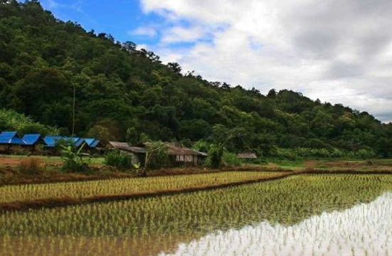 তাজা বাতাস বিক্রি হচ্ছে ঘণ্টায় তিন হাজার টাকায়