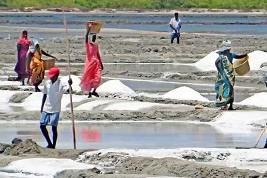 দেশে লবণ উৎপাদন ৬২ বছরের মধ্যে সর্বোচ্চ