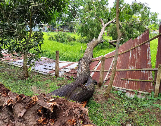 ভারতে কালবৈশাখী ঝড়ে নিহত হয়েছেন ১৮ জন