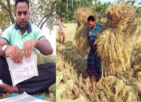 যে বাদশা সার্টিফিকেট ছিঁড়েছিল সে এখন কৃষক