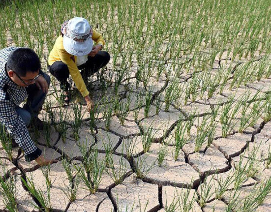 জলবায়ু বিপর্যয়: ঝুঁকিতে বিশ্বব্যাপী খাদ্য নিরাপত্তা