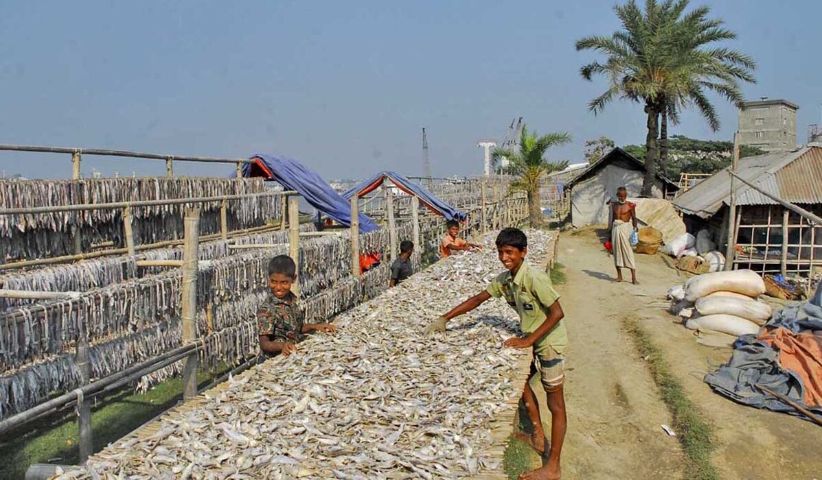 শুঁটকি মাছঃ লোভনীয় স্বাদে অনন্য