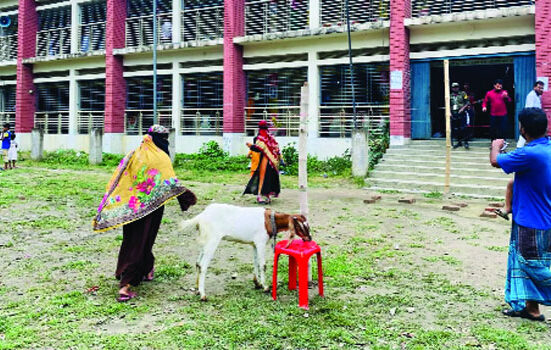 উপজেলা পরিষদ নির্বাচন: সর্বনিম্ন ভোটের রেকর্ড