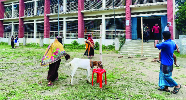 উপজেলা পরিষদ নির্বাচন: সর্বনিম্ন ভোটের রেকর্ড