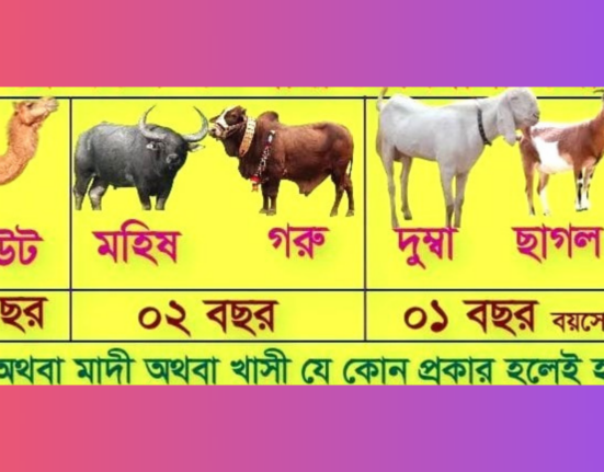 কোরবানির মাসআলা, কোরবানির পশুর বৈশিষ্ট্য