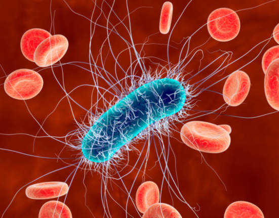 Coliform bacteria