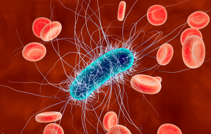 Coliform bacteria